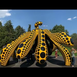 Meet your Posher, Naomi